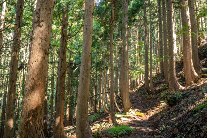 環境と地域に寄り添う企業姿勢